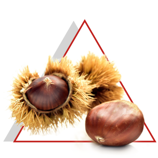 Castagne