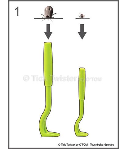 Anti-tiques Tique Twister (2)