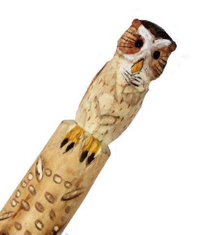 Bâton en bois sculpté hibou Alpenstock