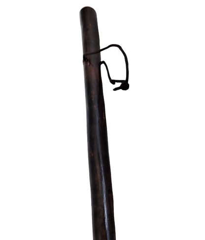 Alpenstock Chestnut Stick mit Kompass (1)