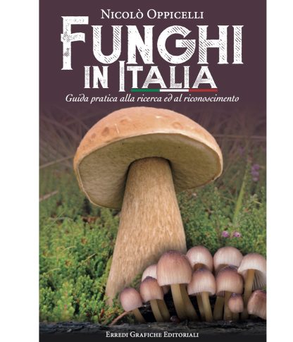 Guida Funghi In Italia Di Oppicelli N.