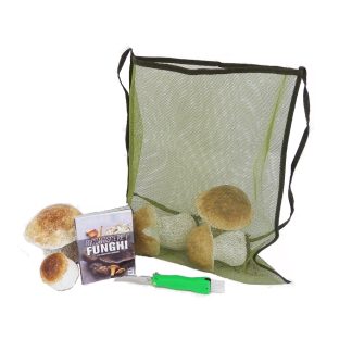 Kit de culture de champignons de base