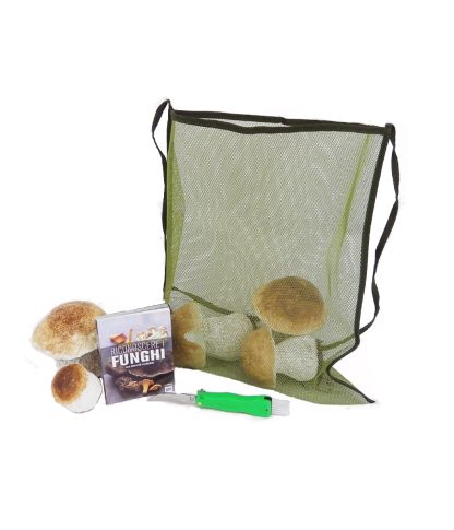 Kit de culture de champignons de base