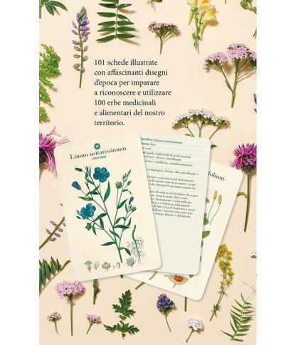 Coffret Livre 101 Cartes Herbes (1)