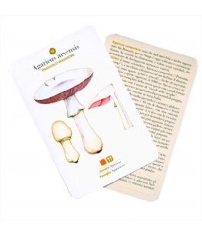 Coffret Livre 101 Cartes Champignons (2)