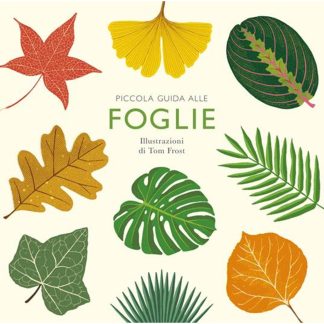 Petit guide des feuilles