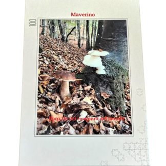 Puzzle 100 Pezzi Mondiale Funghi Maverino