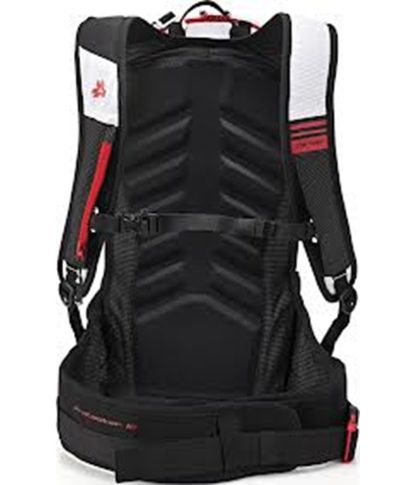 Protector 12 Arva Rucksack (1)